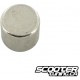 Replacement Magnet KOSO (6x5mm)