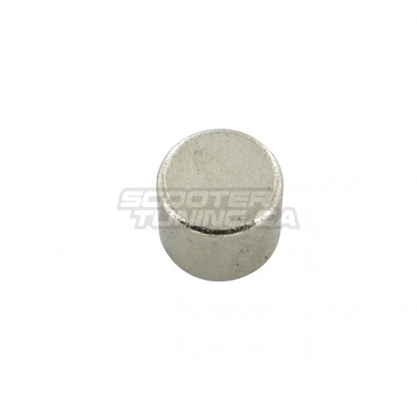 Replacement Magnet KOSO (6x5mm)