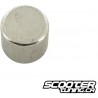 Replacement Magnet KOSO (6x5mm)