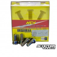 Brake Disc Screw NCY Electroplated (3)