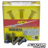 Brake Disc Screw NCY Electroplated (3)
