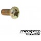 Carburetor choke mounting / air cut valve screw
