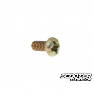Carburetor choke mounting / air cut valve screw
