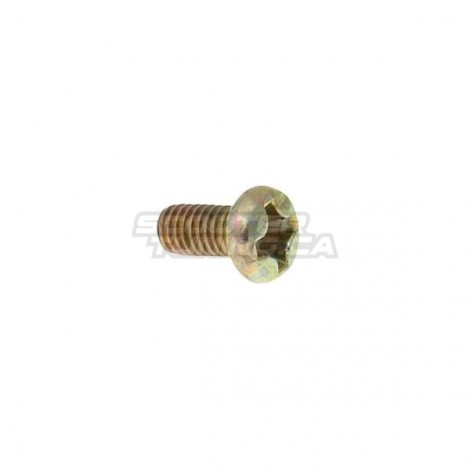 Carburetor choke mounting / air cut valve screw