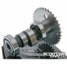 Camshaft Naraku sport A8 GY6 125-180cc