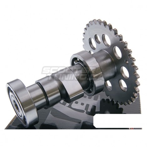 Camshaft Naraku sport A14 GY6 125-180cc
