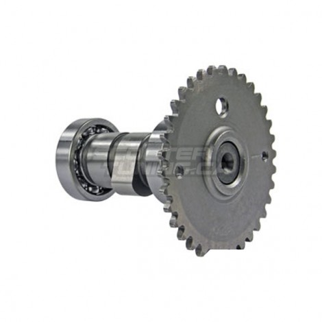 Camshaft for 139QMB/QMA