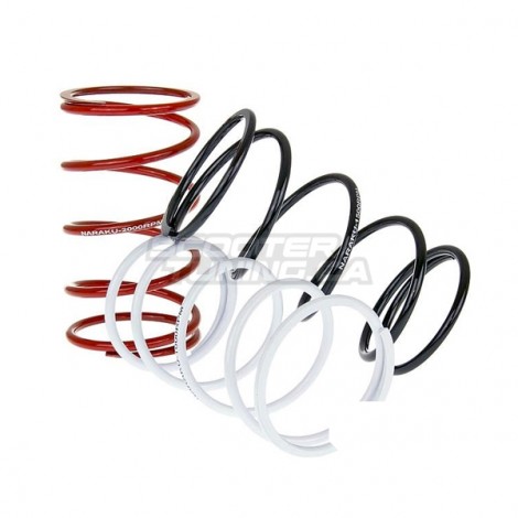 Torque Spring Set Naraku