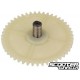 Oil pump driven sprocket (22 tooth) GY6 50cc 139QMB/QMA