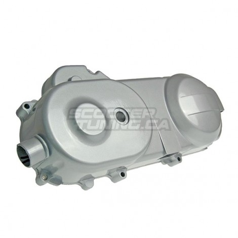 Crankcase cover silver for 10" wheel (669mm) GY6 50cc