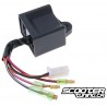 CDI Unit Octane 101 Minarelli Horizontal