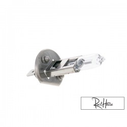 Ampoule halogène H1  (12V-55W) P14,5s