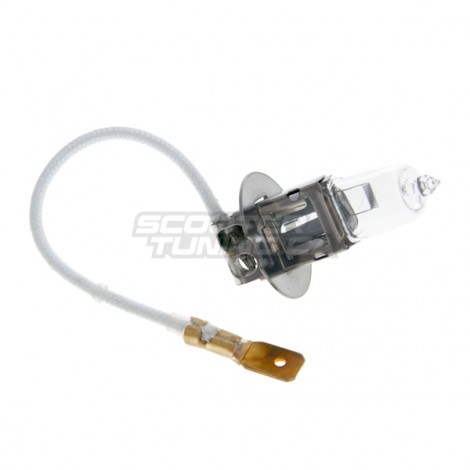 Bulb H3 (12V-55W) PK22S