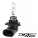 Bulb halogen HB3 (12V-60W) P20D1