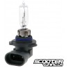 Bulb halogen HB3 (12V-60W) P20D1