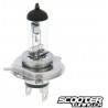 Bulb halogen H4 (12V-60/55W) P43T