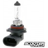 Bulb halogen HB4 (12V-51W) P22D
