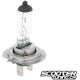Bulb halogen H7 (12V-55W)  PX26d 