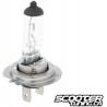 Bulb halogen H7 (12V-55W)  PX26d 