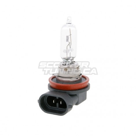 Bulb halogen H9 (12V-65W) PGJ19-5 