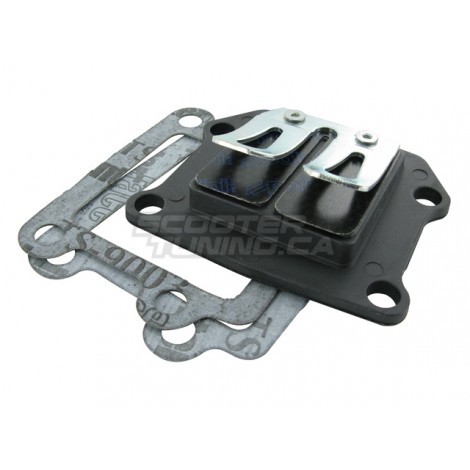 Racing reed valve Polini