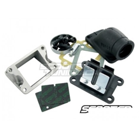 Reed valve Polini BigValve