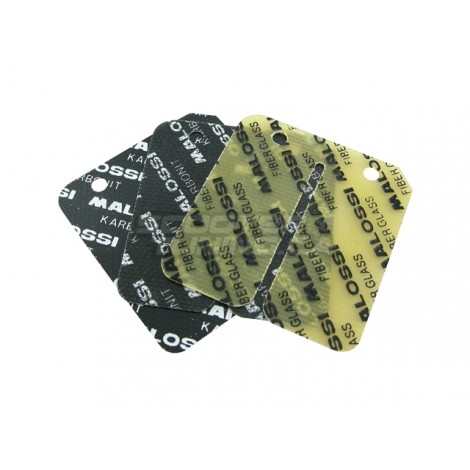 Carbon reeds Malossi
