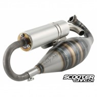 Exhaust System 2Fast 100cc