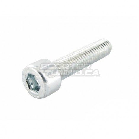 Shock Absorber Bottom Bolt Motoforce M8x35 (minarelli)