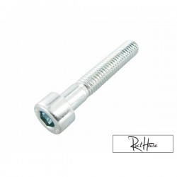 CVT Cover Bolt Motoforce M6x35 (Minarelli & Piaggio)