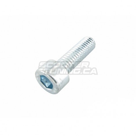 Gearbox, Fan & Waterpump Cover bolt Motoforce M6x20 (Minarelli)