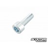 Gearbox, Fan & Waterpump Cover bolt Motoforce M6x20 (Minarelli)