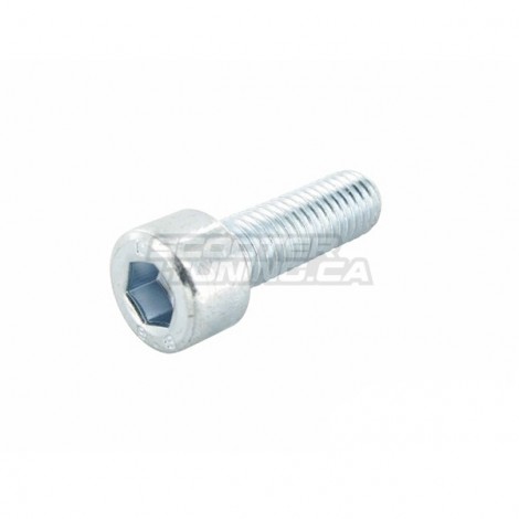 Gearbox, Fan & Waterpump Cover bolt Motoforce M6x25 (Minarelli)