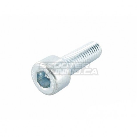 Brake Caliper Bolt Motoforce M8x25