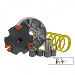 Variateur Malossi Multivar (Minarelli 100cc)