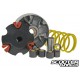 Variator Malossi Multivar (Minarelli 100cc)