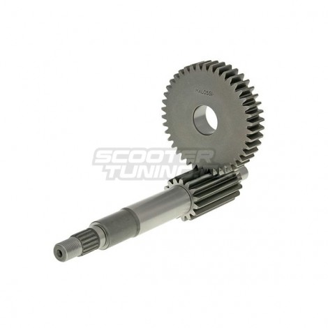 Primary gearing Malossi 15/42 (Minarelli 100cc)