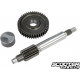 Primary Gear kit Polini HQ 13/44
