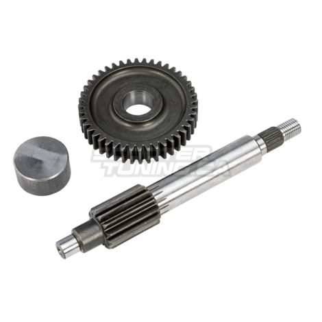 Primary Gear kit Polini HQ 13/44