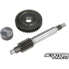 Primary Gear kit Polini HQ 13/44