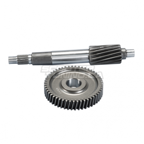 Primary Gear kit Polini HQ 16/51