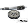 Primary Gear kit Polini HQ 16/51