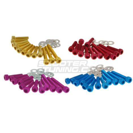 Engine case screws Tun'r Aluminium