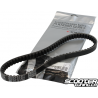 Drive belt Athena Racing