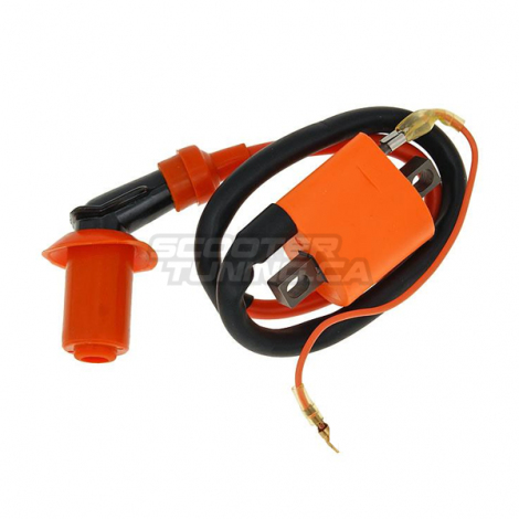 Coil Naraku Racing High output V2