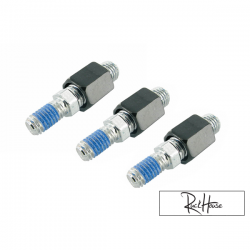 Adapteur pour Miroir BCD F1 M10 (3)