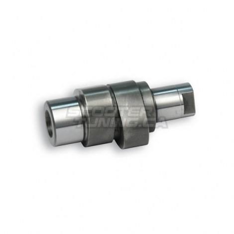 Power Cam Malossi (4V)