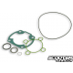 Gasket Malossi Sport 70cc I-Tech (SR50 aprilia)