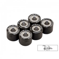 Rouleaux  Malossi HT 20x17mm
