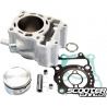 Cylinder kit Polini 169cc (SH150)